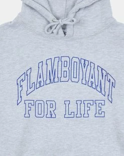 Pleasures Big L Flamboyant Hoody (Grey) -Venum store P22F067 02