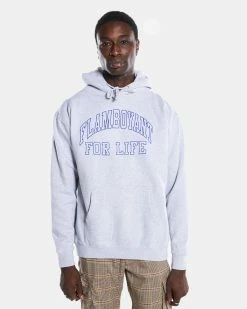 Pleasures Big L Flamboyant Hoody (Grey) -Venum store P22F067 03