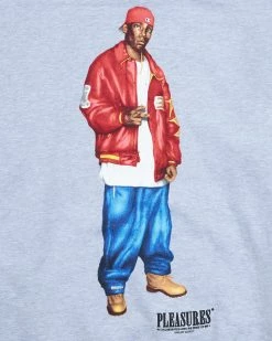 Pleasures Big L Flamboyant Hoody (Grey) -Venum store P22F067 05